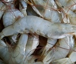 Epigenetic fingerprinting helps trace the origin of animal products
