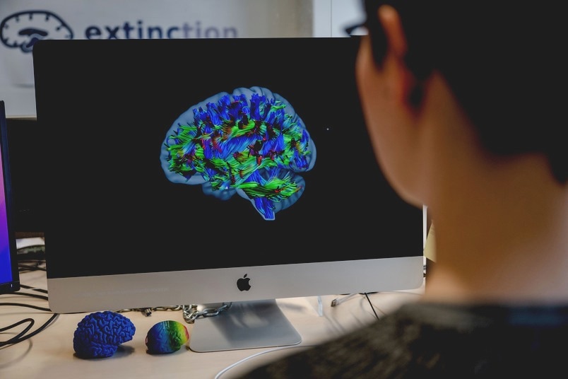 Analyzing the Connection Between Genes, Brain Characteristics, and Behavior