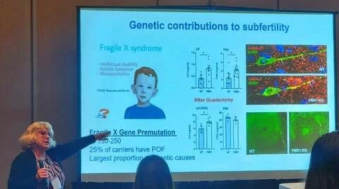 The Relation Between an Autism Gene and Infertility
