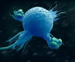 The Role of Siglec-14 Receptors on Human Macrophages in CNT Recognition in Humans