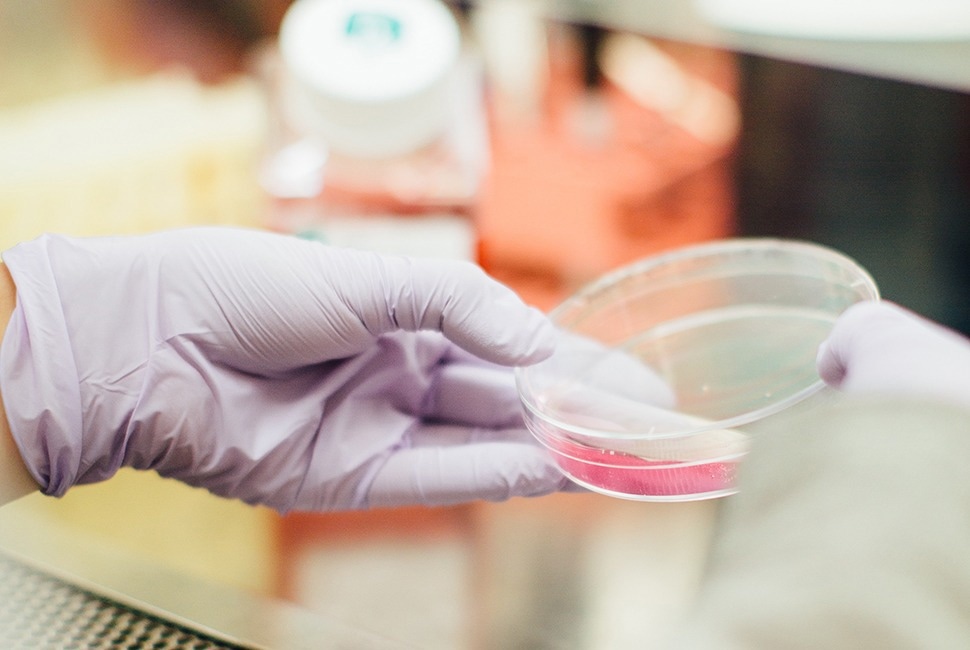 A New, Cost-Effective Therapy to Treat a Wide Range of Cancers