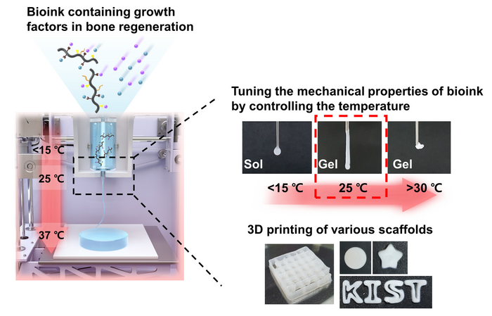 Novel 3D Bioink Induces Tissue Regeneration Without Photocuring Novel 3D Bioink Induces Tissue Regeneration Without Photocuring