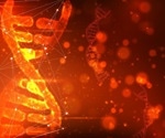 Prime Target for Male Contraceptive Development Identified