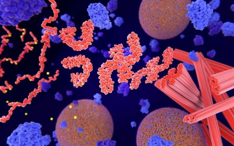 A Study on Gene Silencing Through a Recent Trial A Study on Gene Silencing Through a Recent Trial