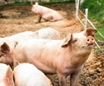 Cross-Resistant Bacteria from Agricultural Animal as First Line of Defense in Human
