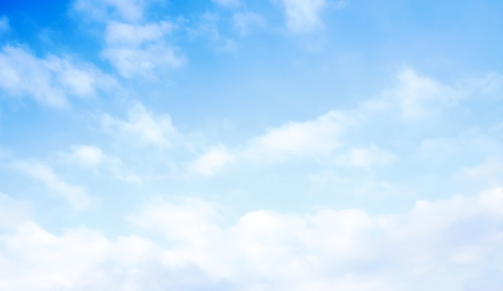 Image Credit: kzww/Shutterstock.com