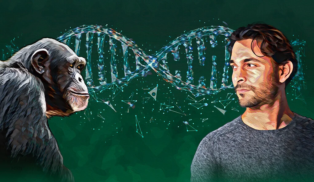 Deletion of Human Genome Information Helped in Differentiation Between Humans and Other Mammals
