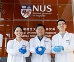 Demonstrating the Great Potential of Prolamin Scaffolds in Cell-Based Meat Production