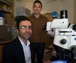 Genes Responsible for Aging Identified in Nematodes