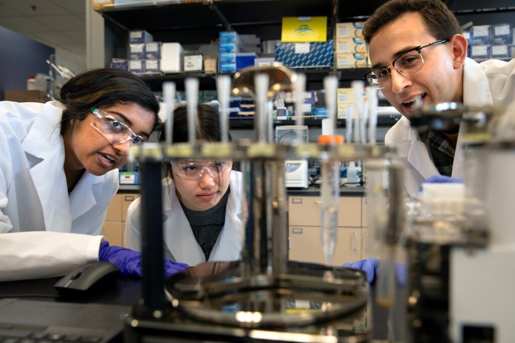Efficiency of AI in Microbial Experiments
