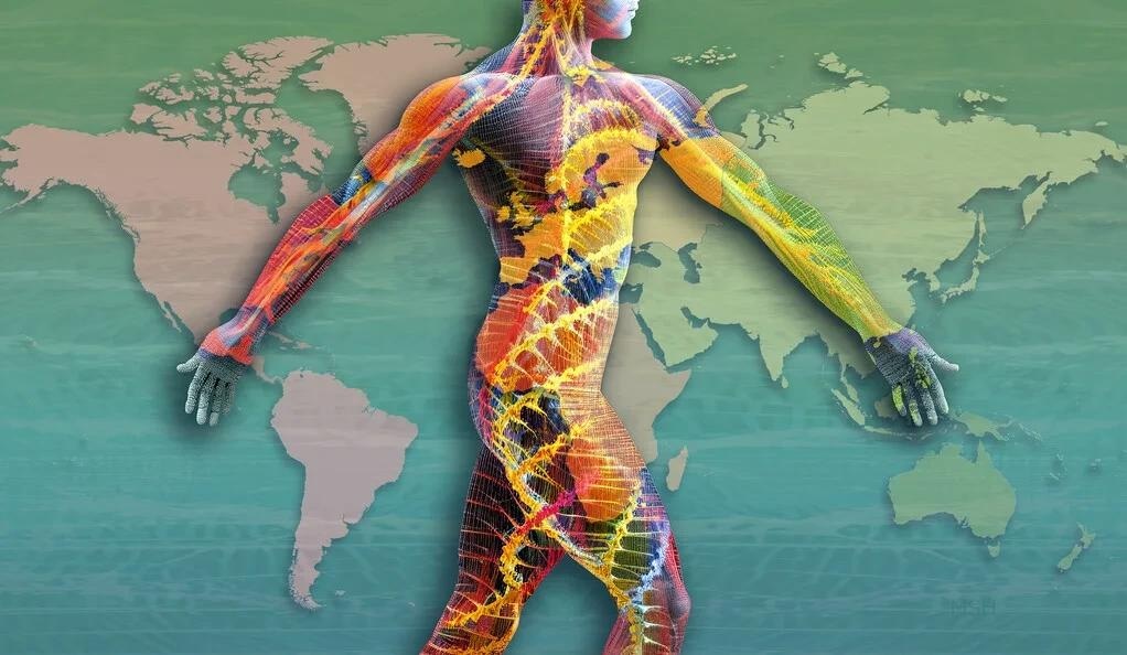 An In-Depth Analysis of the Human Genome Using the New “Pangenome”