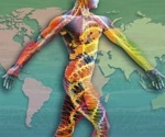 An In-Depth Analysis of the Human Genome Using the New “Pangenome”