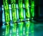 Investigating the Toxic Effects of Pesticides on Marine Microalgae