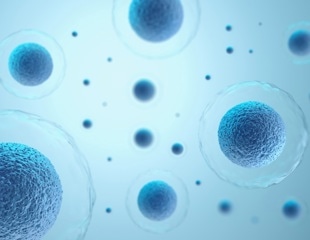 Blebs: How Rapidly Protrusions for Movement and Exploration Emerge in Cells