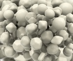 Novel Epigenetic Mechanism Reveals Organisms’ Response to Nanoparticulate Exposure