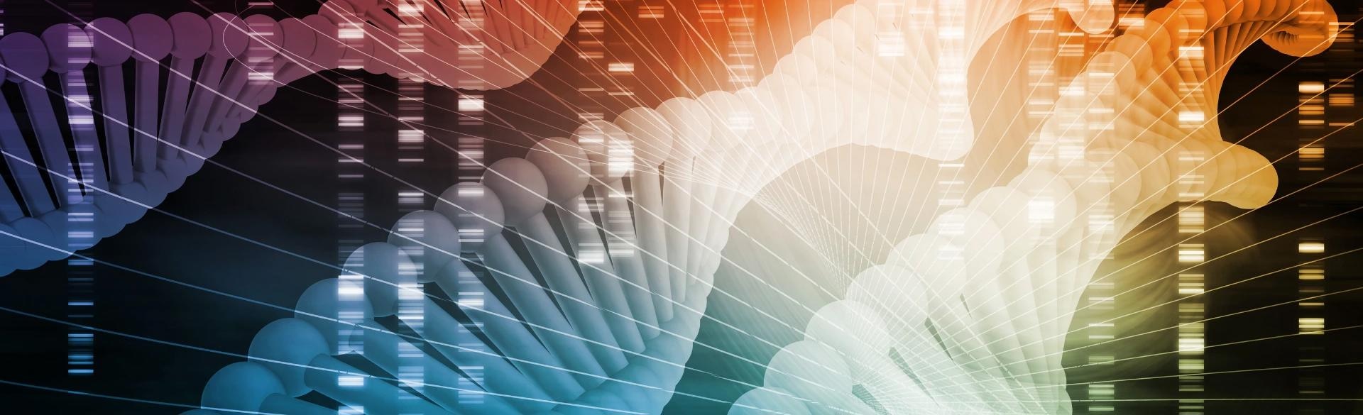 New Insights Into How Genetic Variants Impact Gene Expression