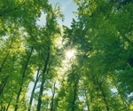 New Phenology Product Monitors the Climate Change Impacts on Terrestrial Ecosystems