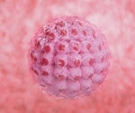 Characterizing a Pivotal Time in Mammalian Embryonic Development