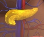 Charting a High-Resolution Roadmap for Regeneration of Pancreatic β Cells