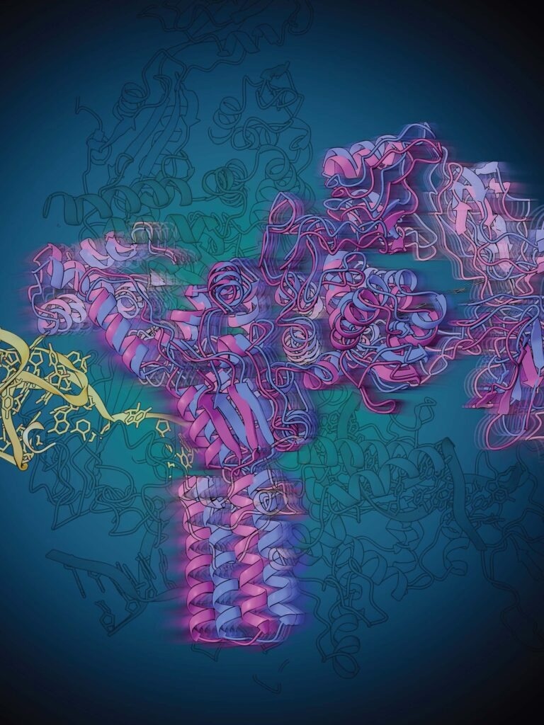 Identifying How a Particular Riboswitch Regulates its Synthesis
