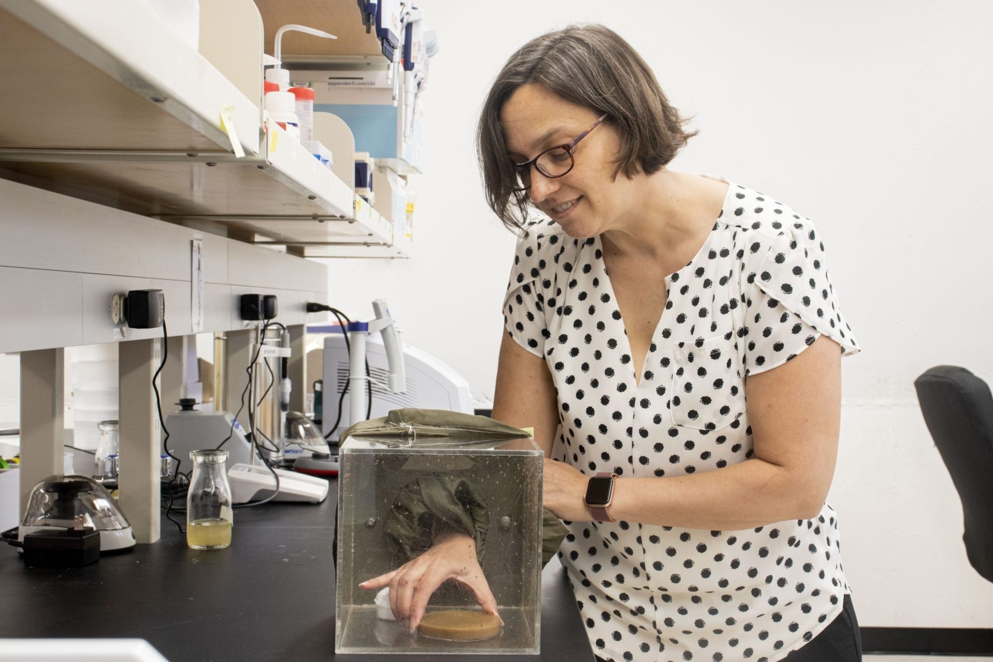 New Toolbox Assists in the Understanding of Intricate Genetic Traits