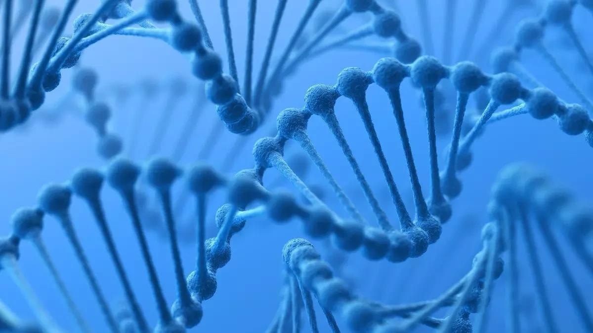 How do Protons Move in Hachimoji DNA?