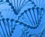 How Do Protons Move in Hachimoji DNA?