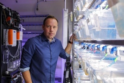 CRISPR/Cas9 Unlocks the Key Gene in the Development of Coral Skeleton Formation