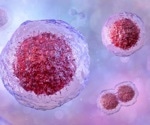 Exploring the Regulatory Mechanism and Physiological Significance of P62 Phosphorylation