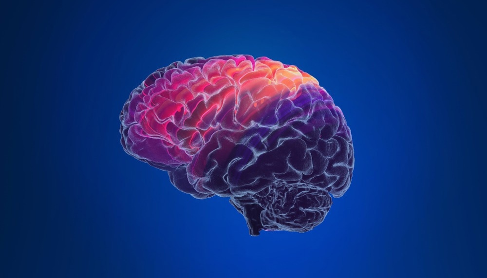 Image Credit: Andrus Ciprian/Shutterstock.com