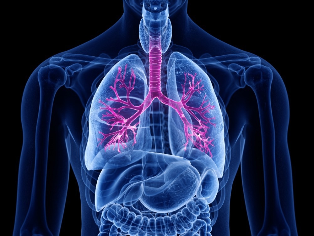 Image Credit: SciePro/Shutterstock.com