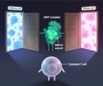 cBAF Protein Complex Controls the Fate of T Cells