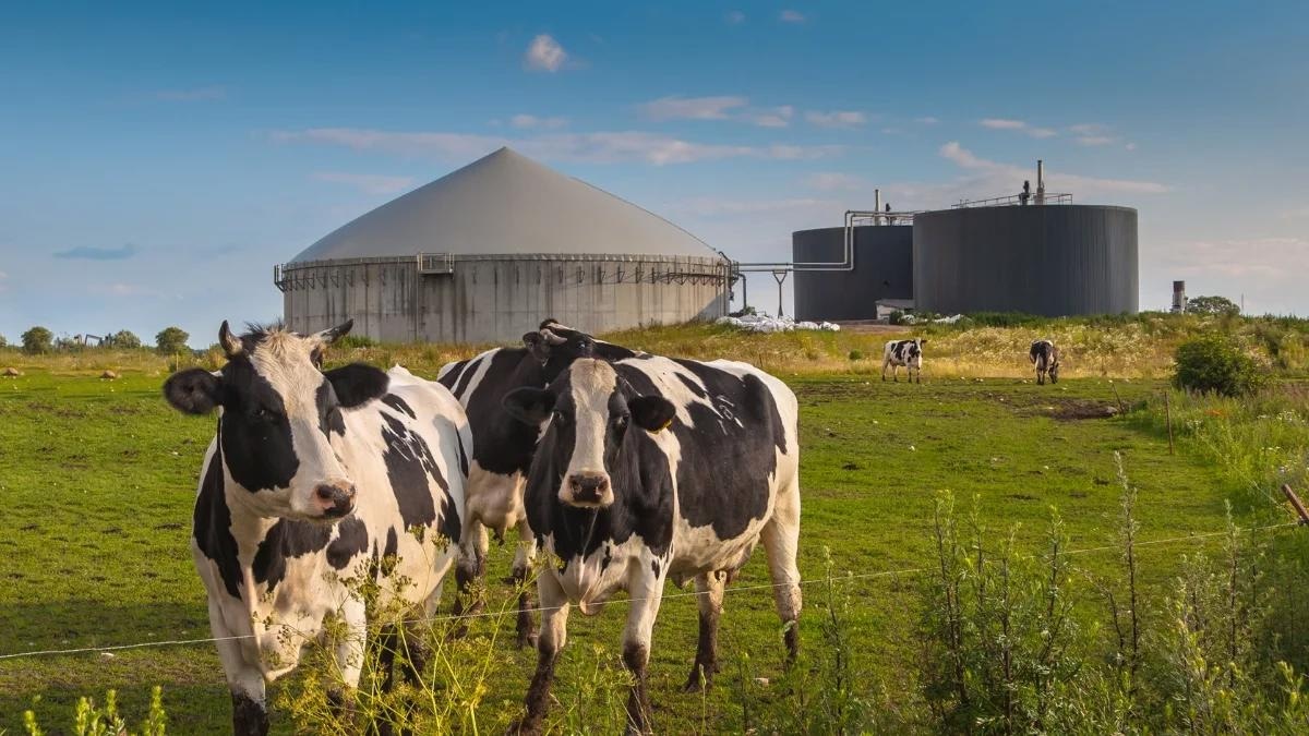 Experts Receive Grant to Boost UK’s Burgeoning Green Industry