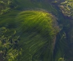VOLT to Focus on VOC Gases in Plankton, Soil, and Moss