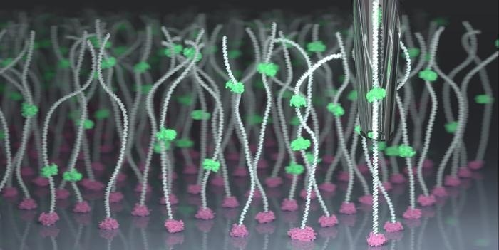 New Method Provides Near-Perfect Control Over the Manipulation of Individual Molecules