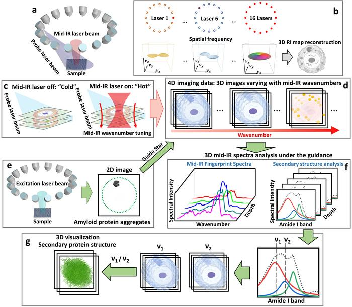 Innovative Technique That Enables In Vivo Imaging of Intracellular Protein Aggregates