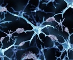 Innovative Technique Enables In Vivo Imaging of Intracellular Protein Aggregates