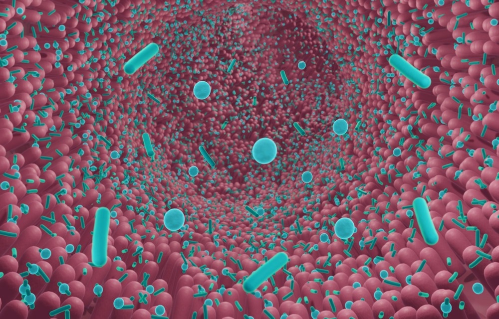 New Oral Probiotic Delivery System Keeps “Good” Bacteria Safe