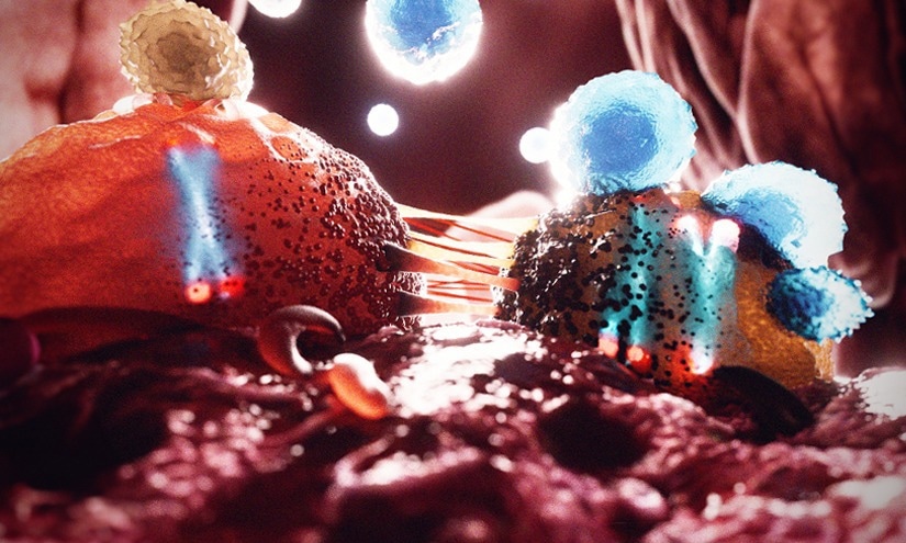 Loss of the Y Chromosome Impairs Body