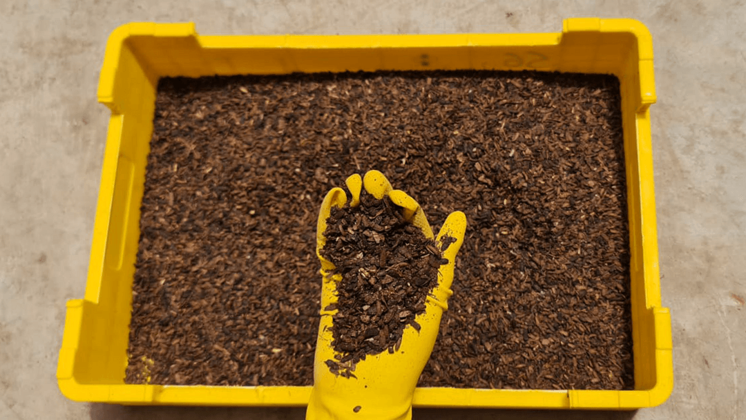 Frass Fertilizer Output.