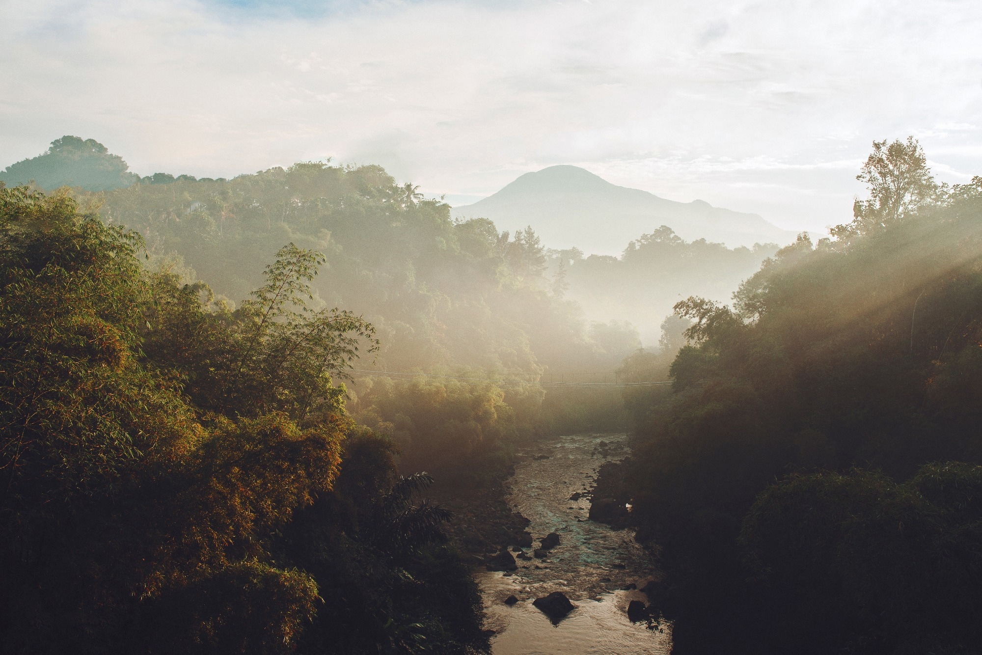 AstraZeneca Announces $400 Million Investment in Reforestation and Biodiversity in Support of Climate Action and Human Health