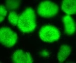The Influence of Streptomyces on Soil Microorganisms