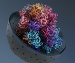 New View of Euchromatin in the Cell Analyzed