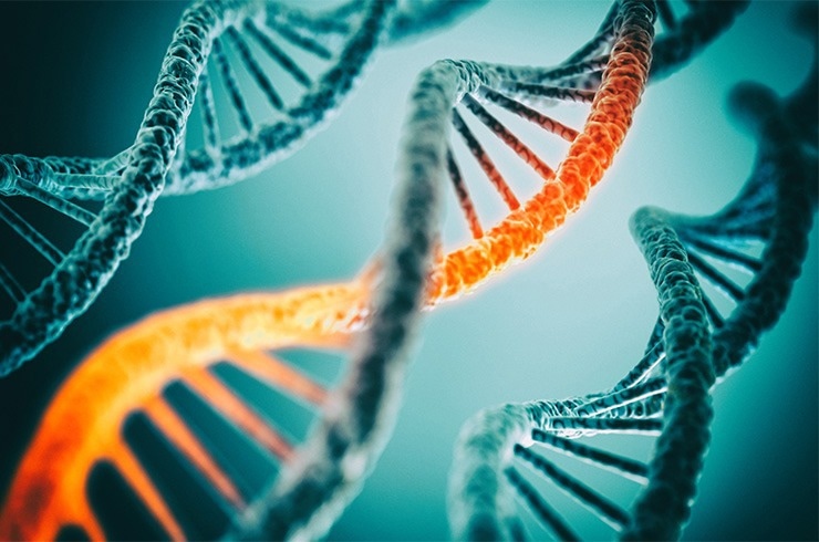 Trim24 Limits the Ability of p53 to Function as a Tumor Suppressor