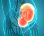 Mapping Immune Microenvironments in Human Placenta