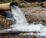 Investigating the Seasonal Dynamics of the Wastewater Microbiome