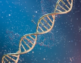 AMP Releases CYP3A4 and CYP3A5 Genotyping Assay Recommendations