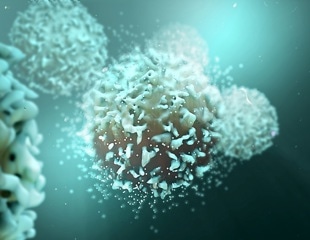 New Insights into the Regulatory Network of Th17 Cells