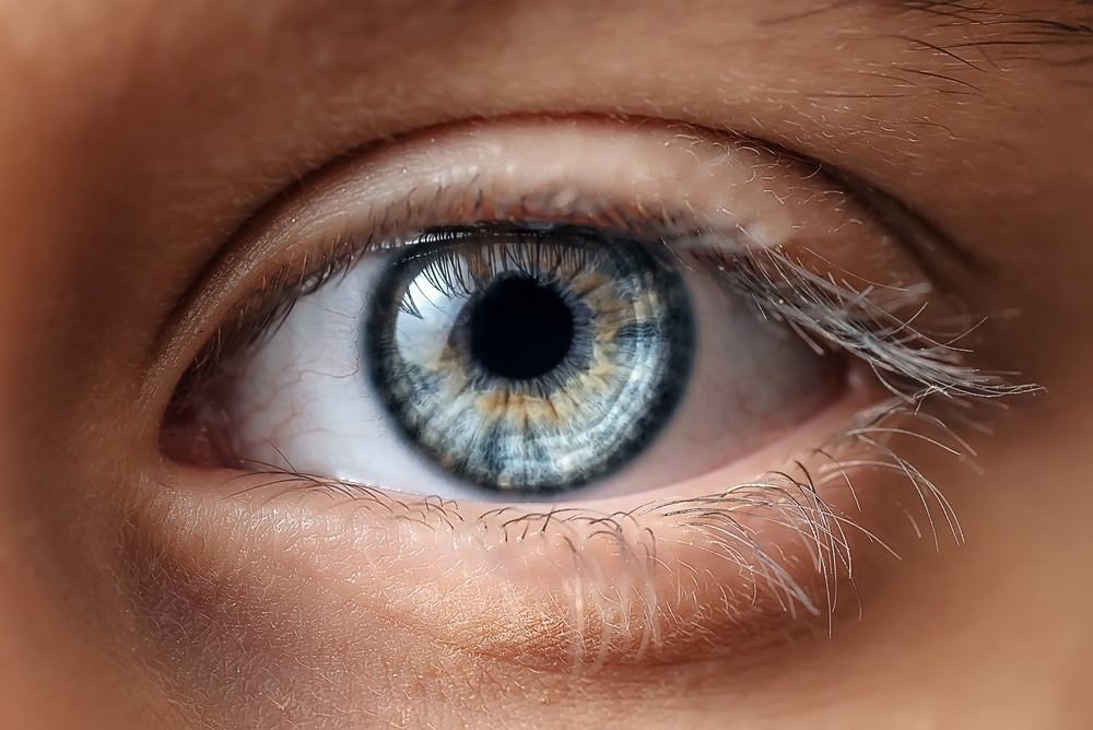 Image Credit: Edgar Martirosyan/Shutterstock.com