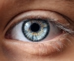 New Study Identifies Aerobic Glycolysis Vital for Eye Development